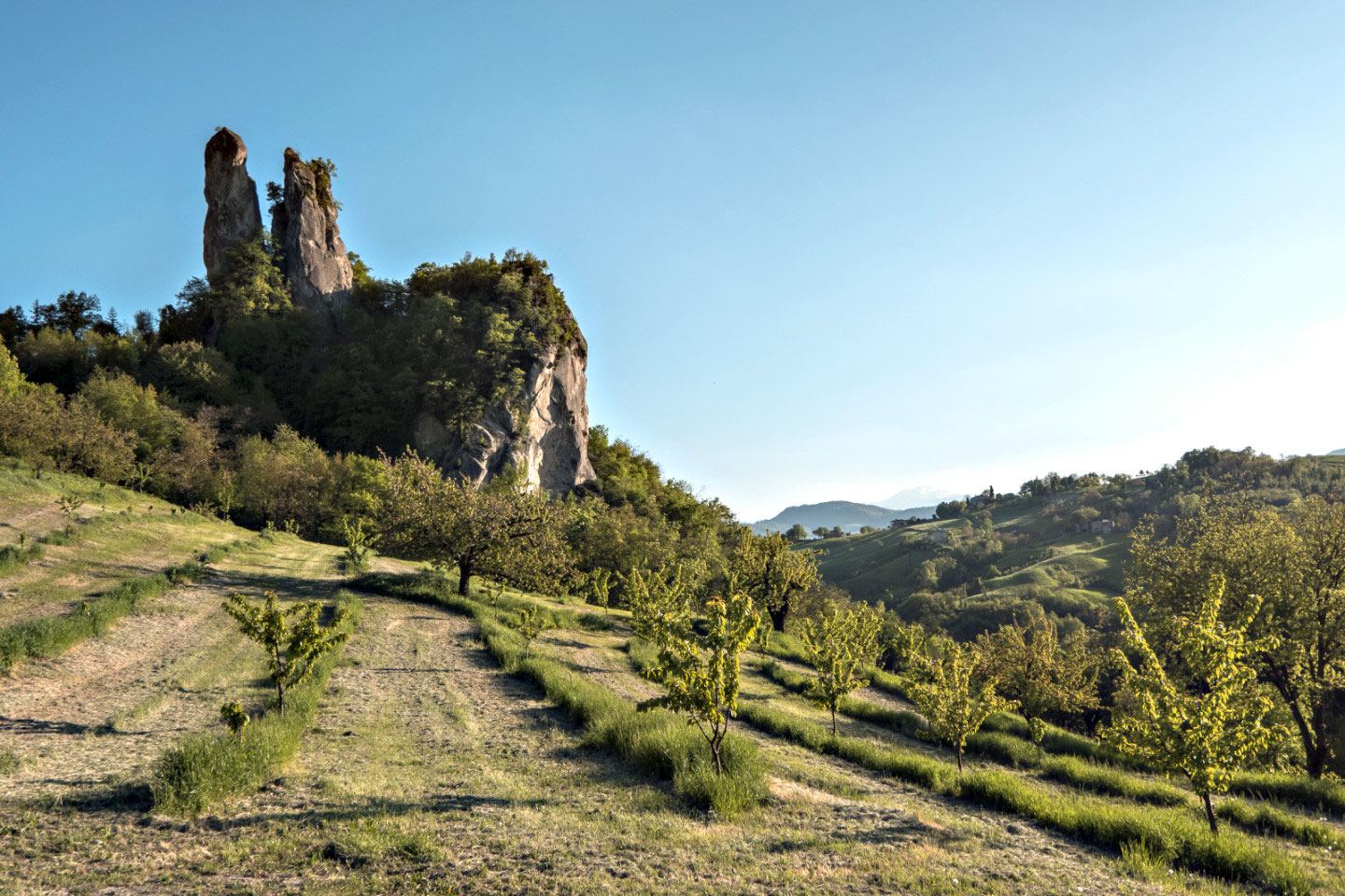 Trail Workshop · Strength for trail running