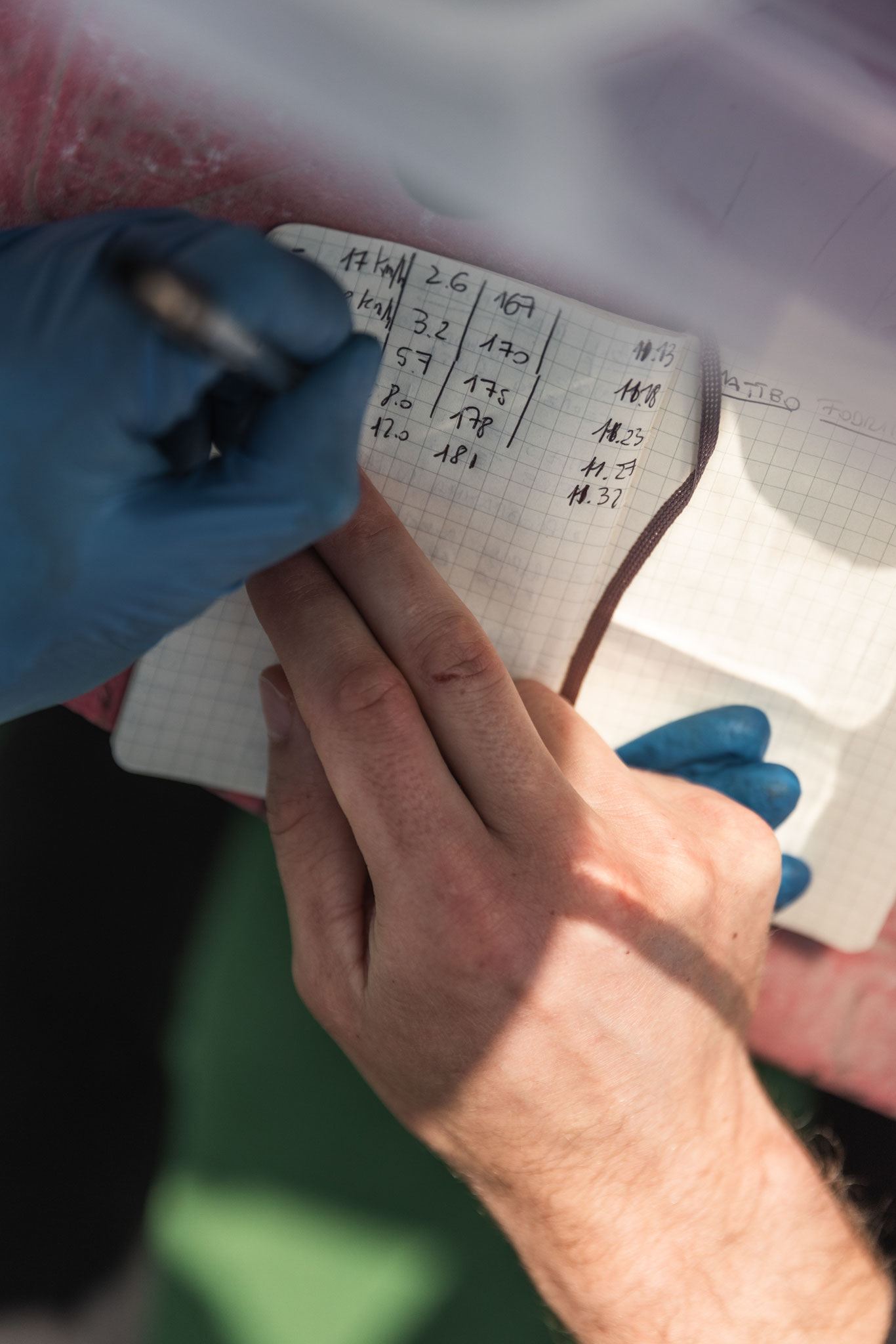 Lactate test - Endurance Coaching Italia
