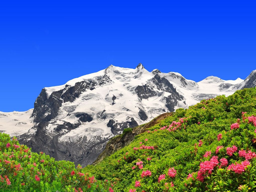 Trail Camp Monte Rosa - Endurance Coaching Italia